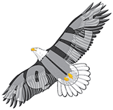AquilaLogo